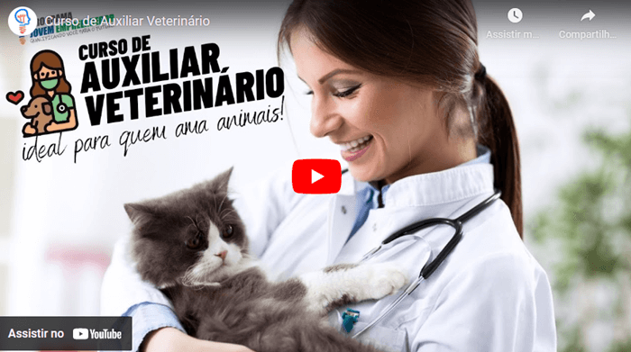 curso auxiliar de veterinario - CURSO DE AUXILIAR VETERINÁRIO 100% Online Com Certificado